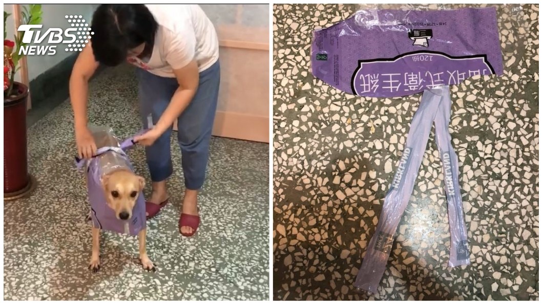 圖/王念庭授權提供