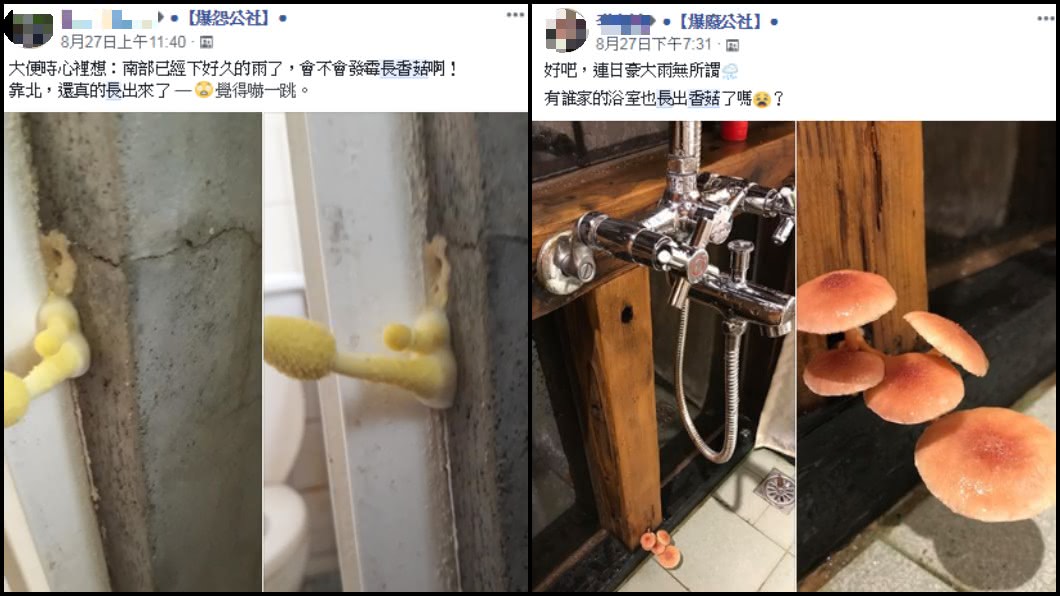 圖左/爆怨公社;圖右/爆廢公社