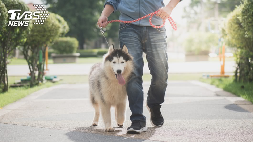 別棄養毛孩! 無證據顯示犬隻會感染新冠病毒