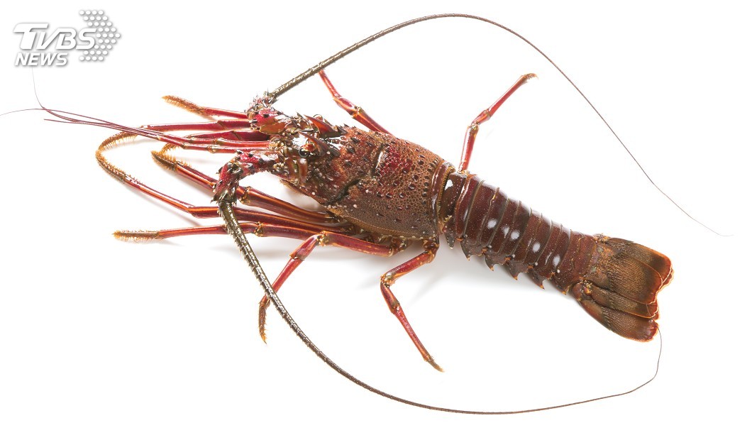 示意圖/TVBS