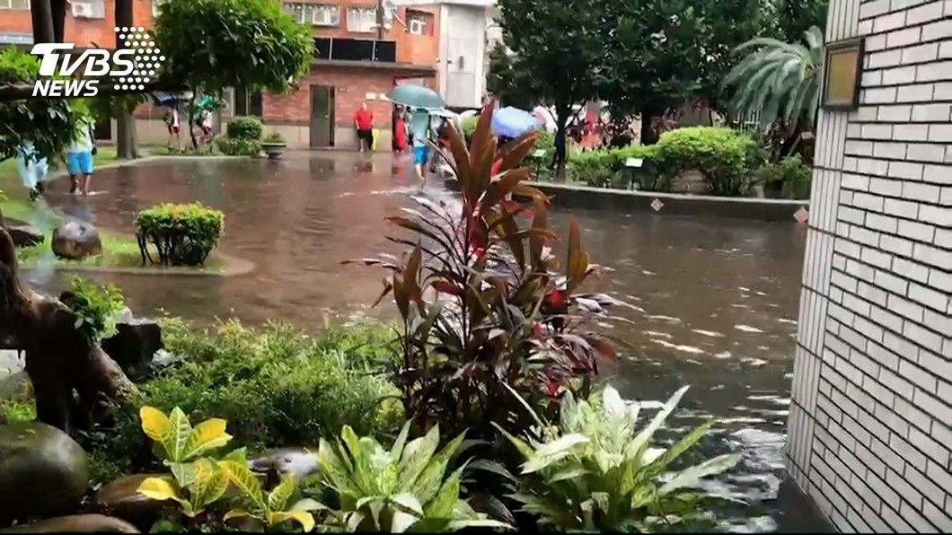 圖/民眾提供