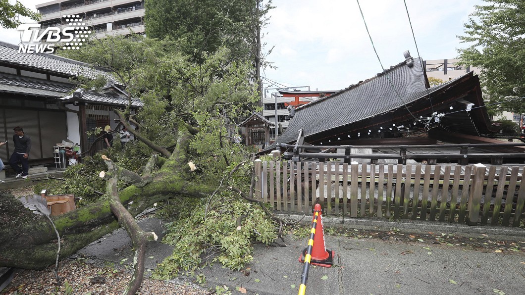 日本今年颱風特別多！　強颱燕子下週又直撲