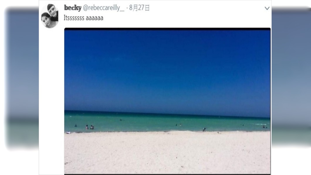 圖/翻攝推特