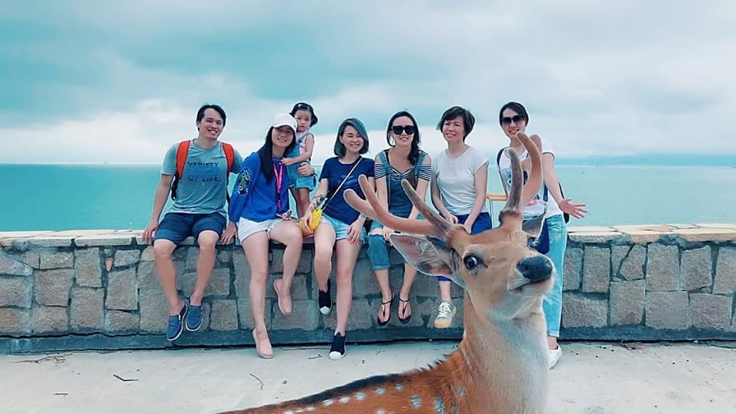 最強網美!7人合照被「亂鹿」 網笑瘋:1秒變背景