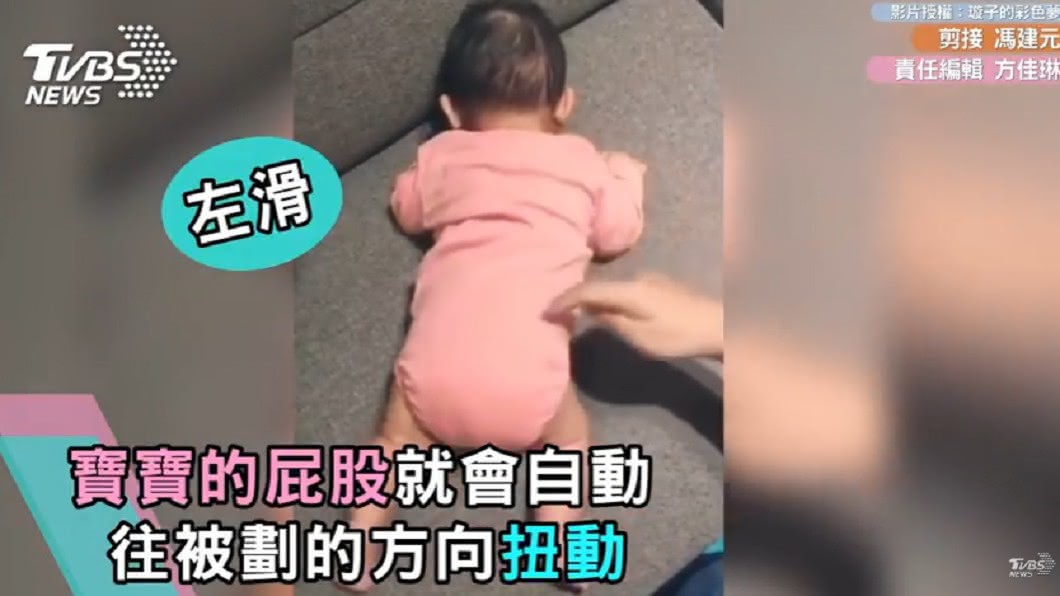圖/網友何璇子授權提供
