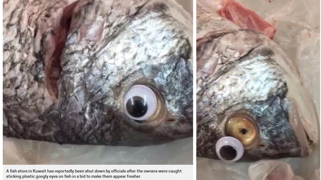 死魚也有「美瞳片」? 魚販這樣做眾人笑倒