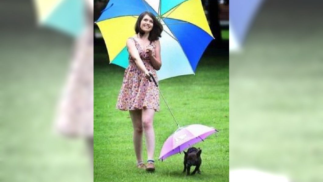 帶狗出門不怕下雨　日本研發寵物專用傘