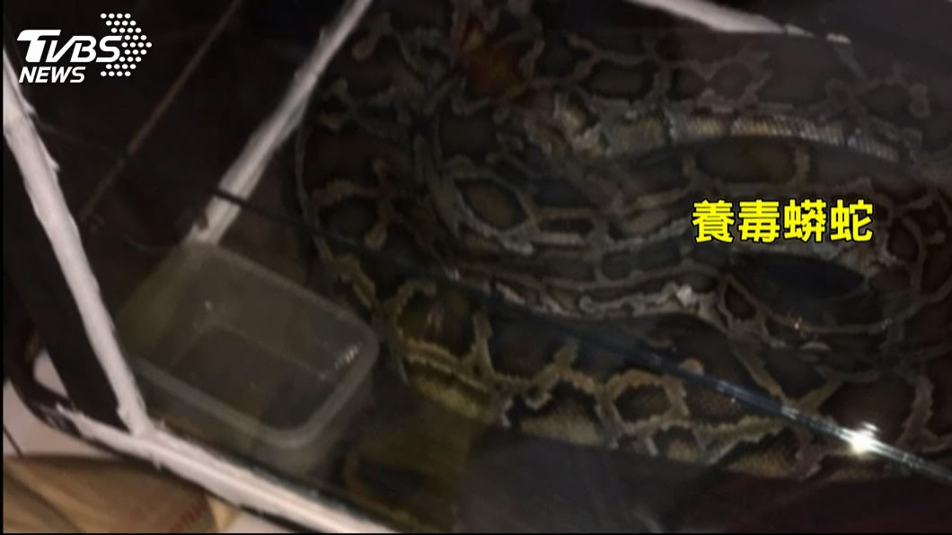 圖/TVBS