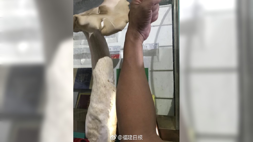 圖／翻攝微博
