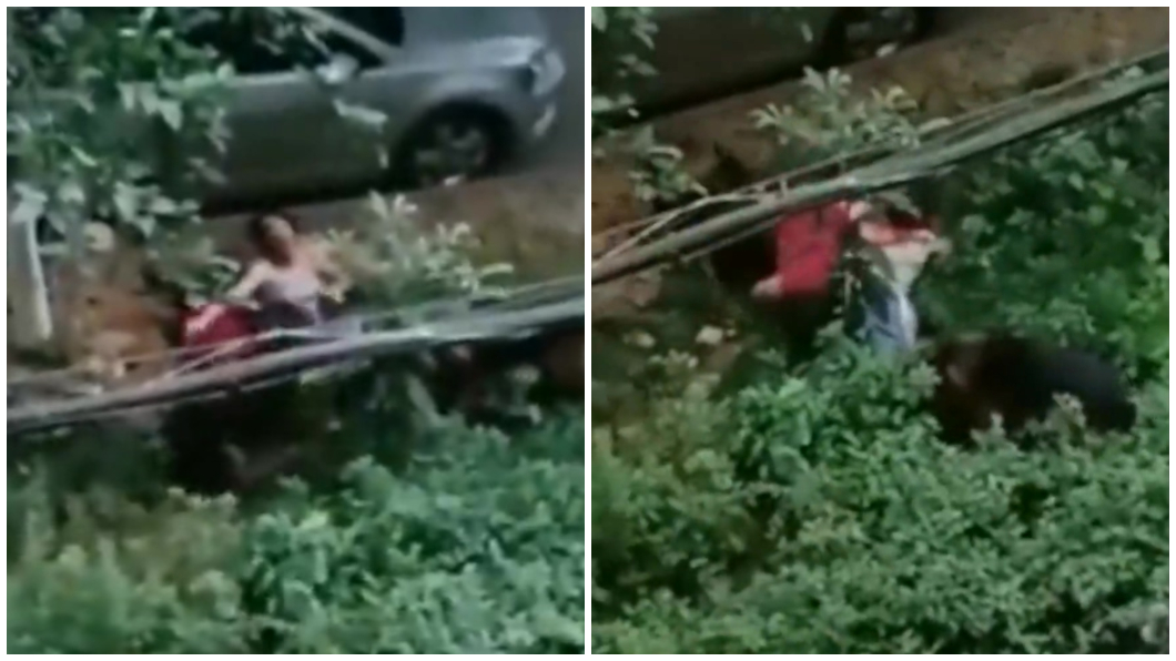 驚悚50秒！2女遭發狂狼犬撕咬拖行　淒厲尖叫駭人