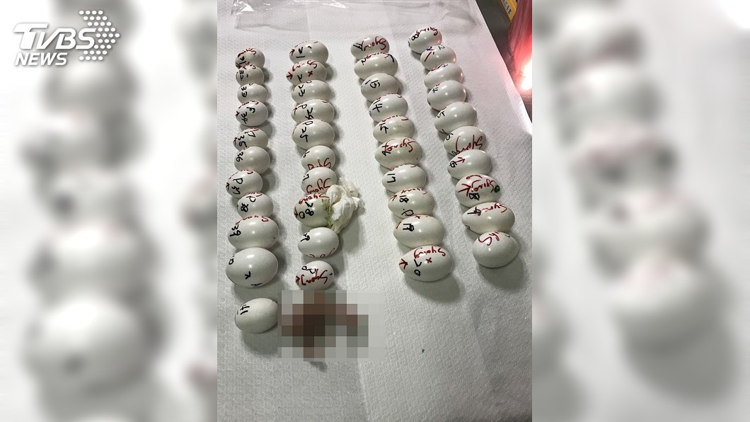 返台攜禽鳥蛋闖關 旅客依法究辦