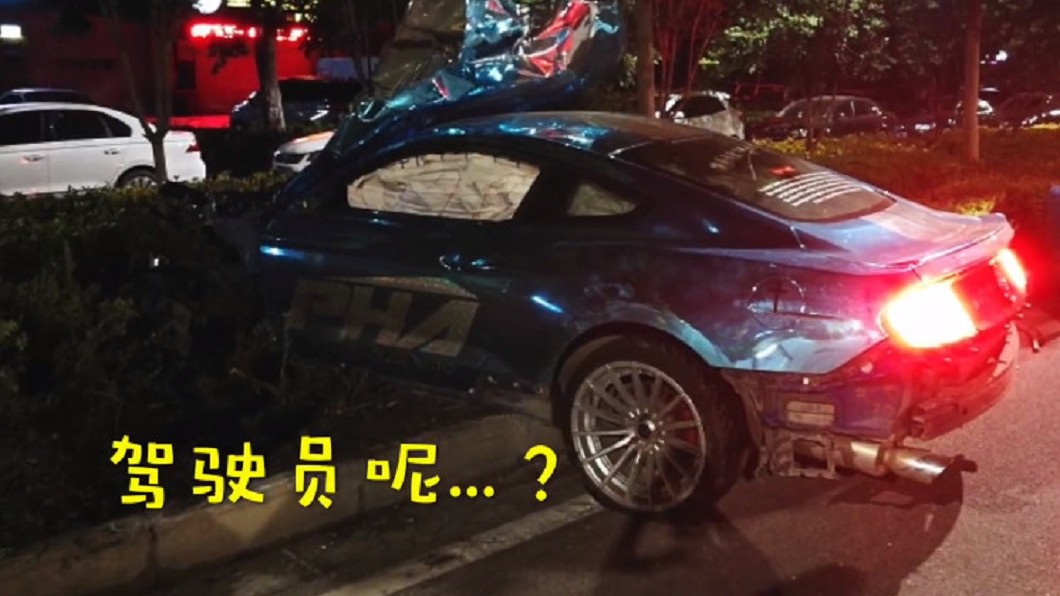 圖/翻攝自 秒拍