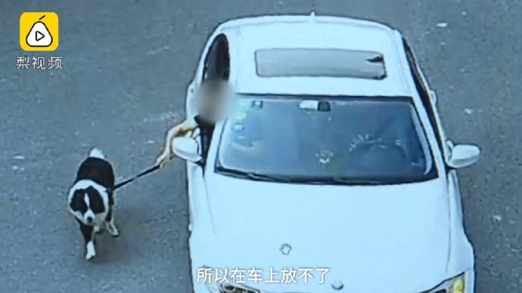 怕毛小孩拉肚子弄髒BMW 他開車帶牠跑2公里去洗澡