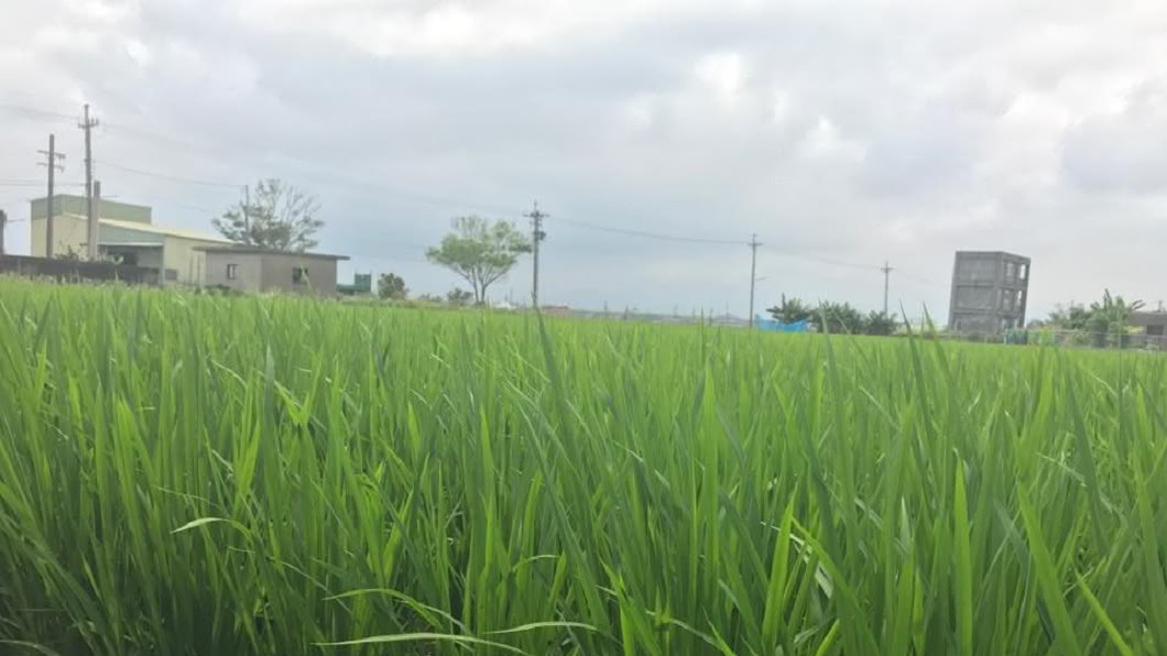 圖/翻攝自 臉書
