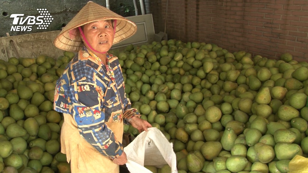 暴雨沖走一年心血 阿嬤欲哭無淚...蹲地撿「泥柚子」