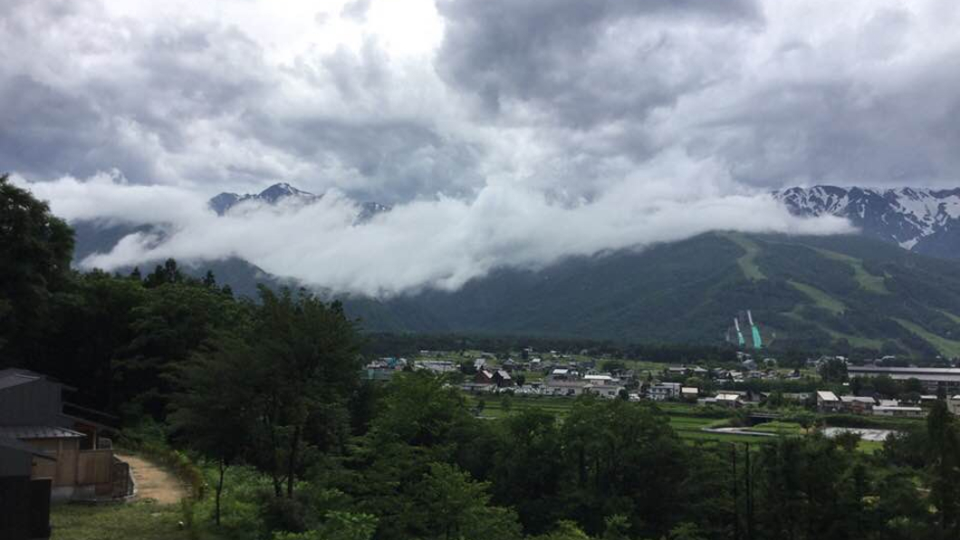 楊偉中將樹葬安息　楊母：與天地合而為一