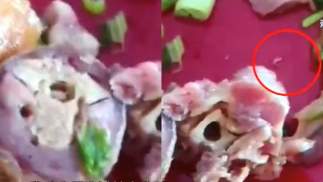 圖／翻攝自網易視頻