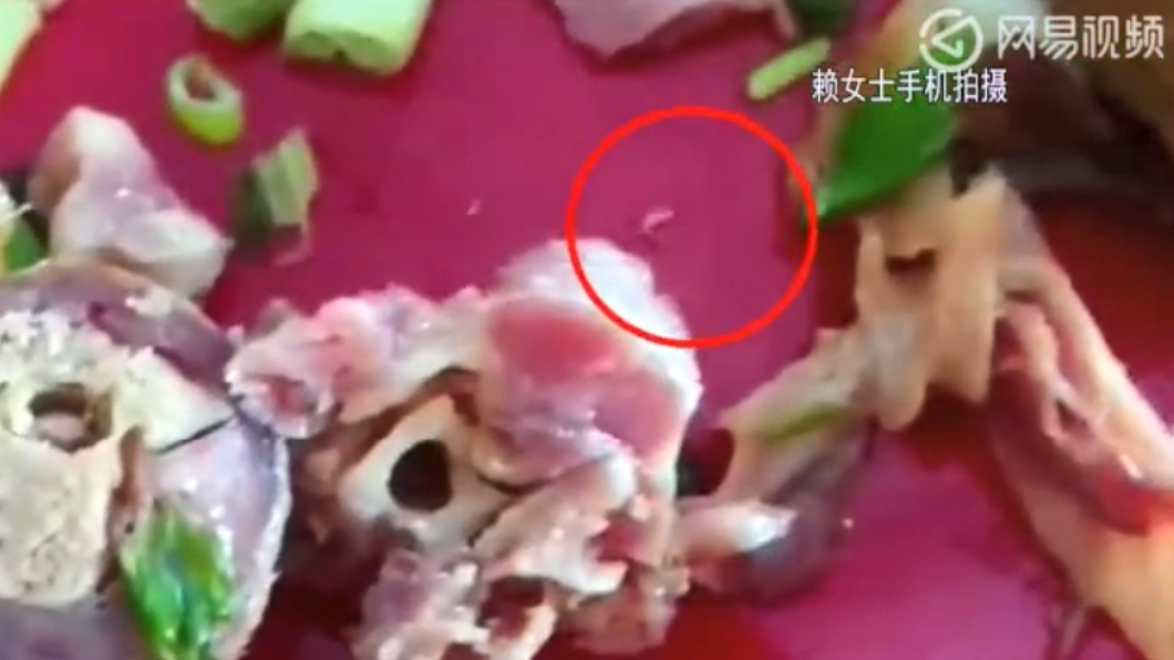 圖/翻攝自網易視頻