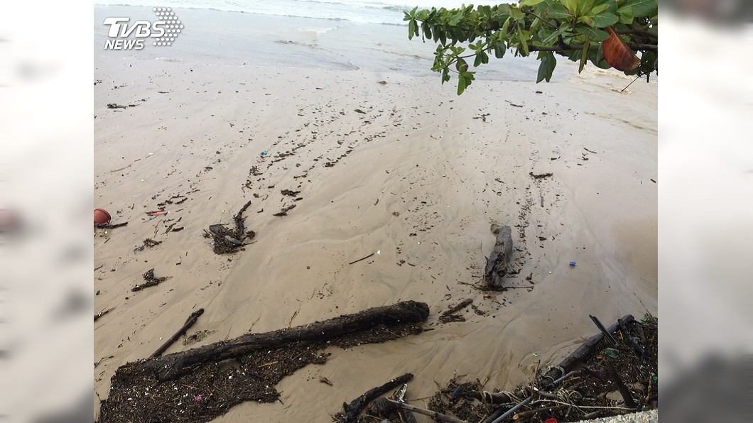 墾丁捲大浪! 南灣海面浮垃圾、漂流木