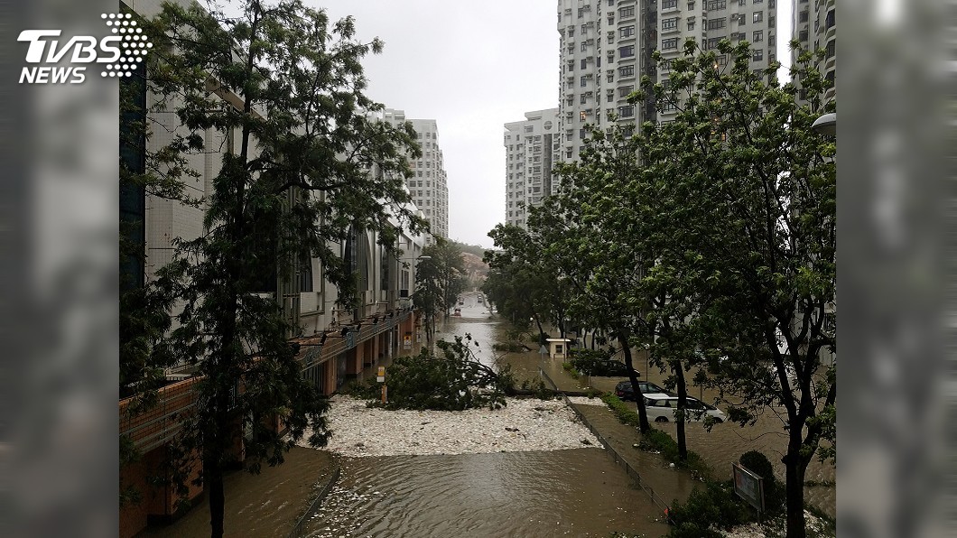 樹倒擋道地鐵塞爆 山竹重創香港交通