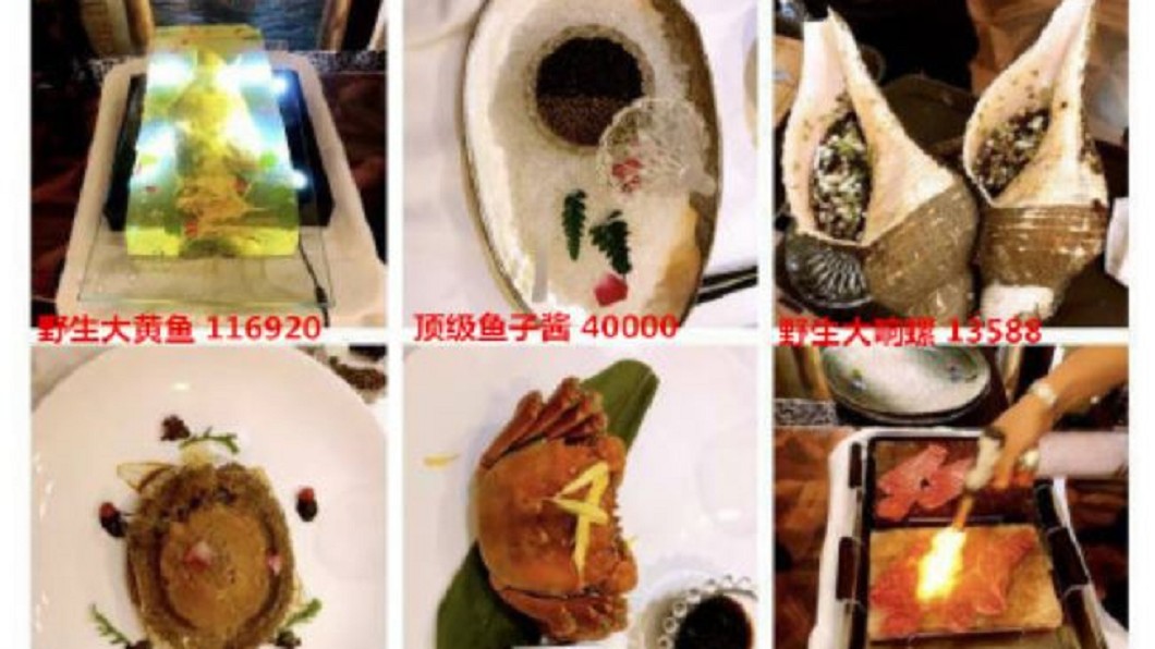 鱷魚尾湯1碗7萬!8人晚宴嗑191萬 老闆曝是他請客