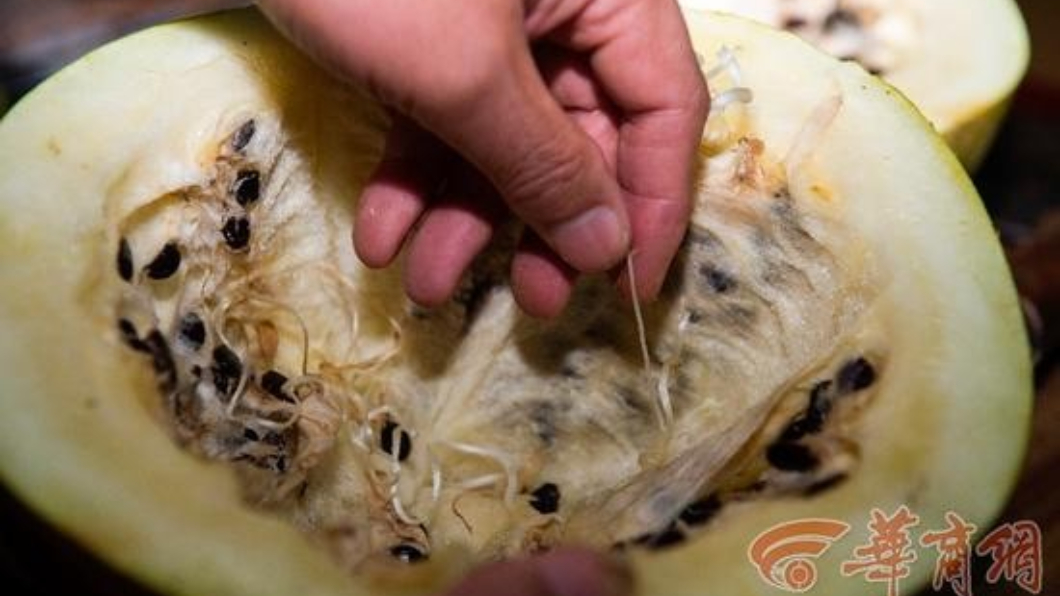圖/翻攝自華商網