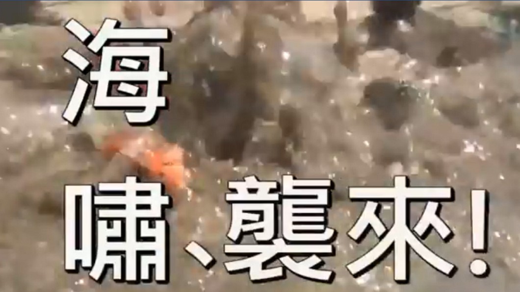 竹警宣導海嘯來襲!超萌「學妹」嬌喊:快逃跑