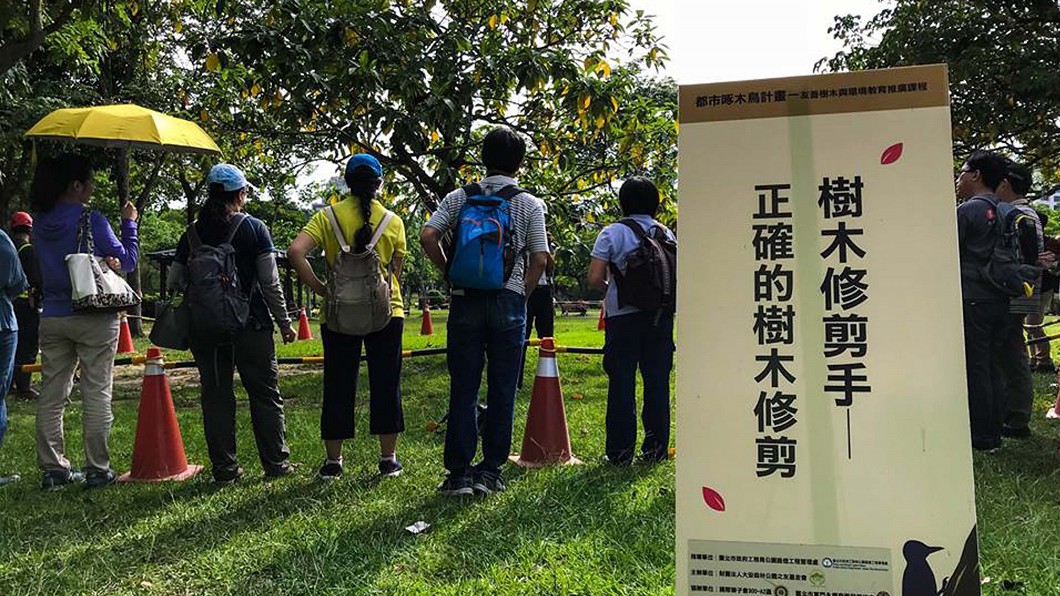 推廣樹木相關知識 人人都是都市啄木鳥