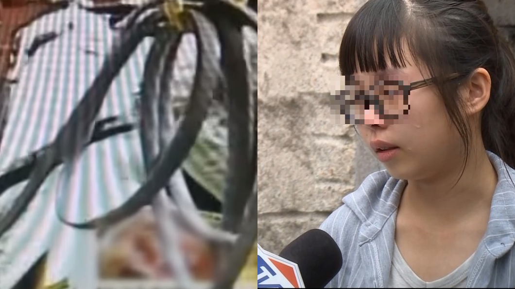 父無辜遭槍擊「左眼掉出」失明 女兒泣:求司法還公道