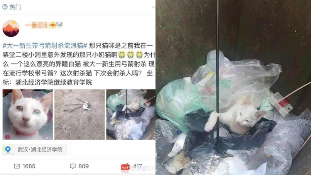 圖/翻攝自微博