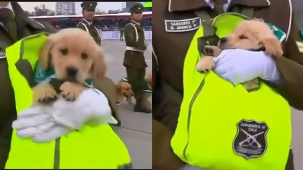 圖/翻攝自Carabineros de Chile臉書影片