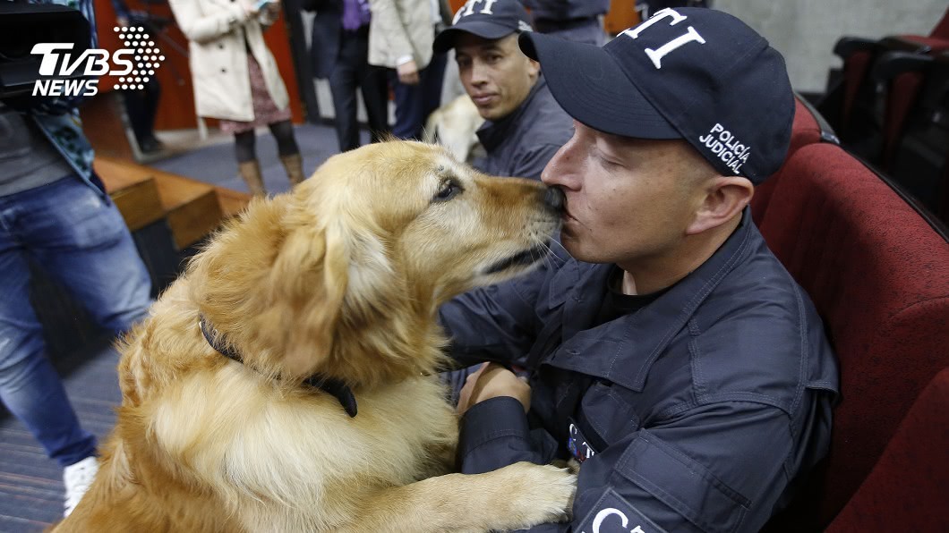服役期滿! 哥倫比亞14警犬辦「退休典禮」