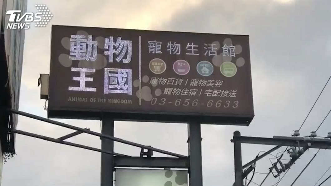 動物王國倒閉！客傻「儲值點數怎辦？」　2退費方案曝光