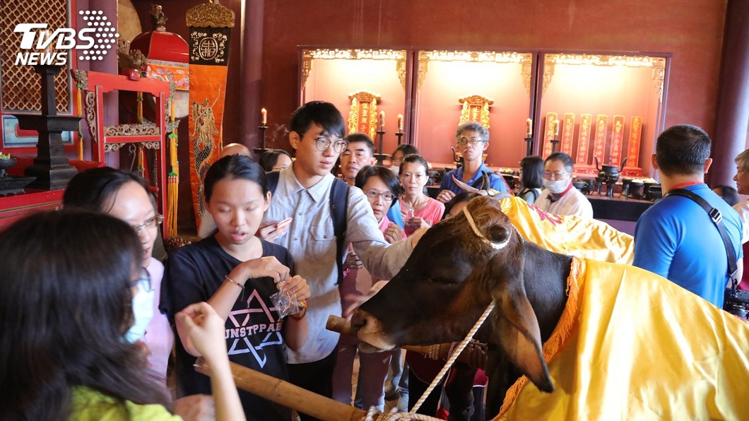 台南孔廟祭祀登場!古禮拔「智慧毛」正搶手