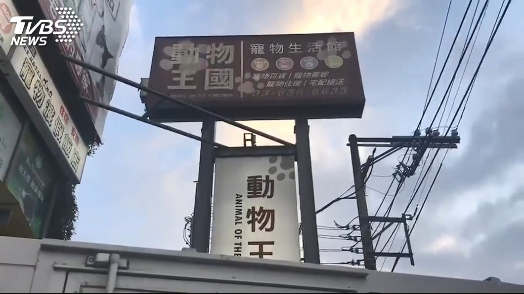 驚!動物王國無預警倒閉 17分店停業