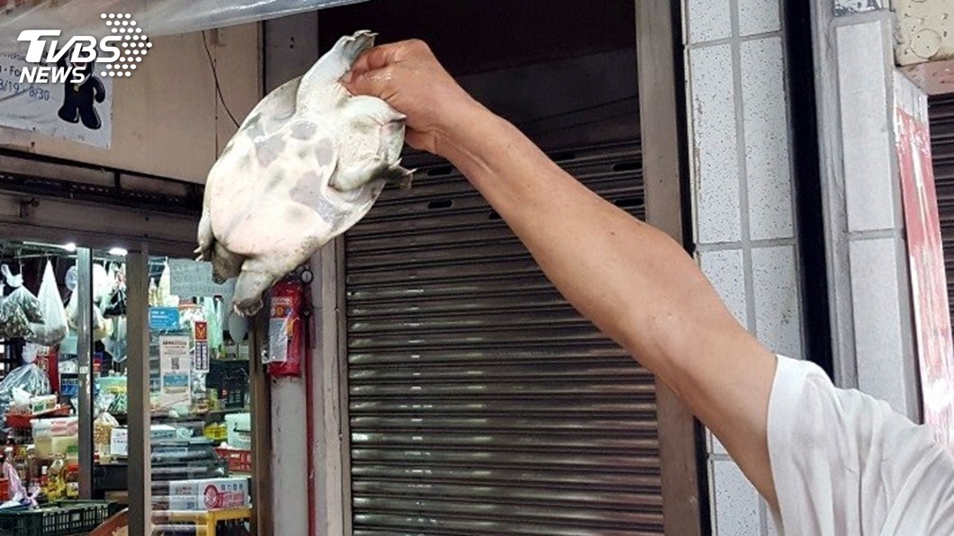北市抽驗水產品 甲魚與黃魚驗出動物用藥