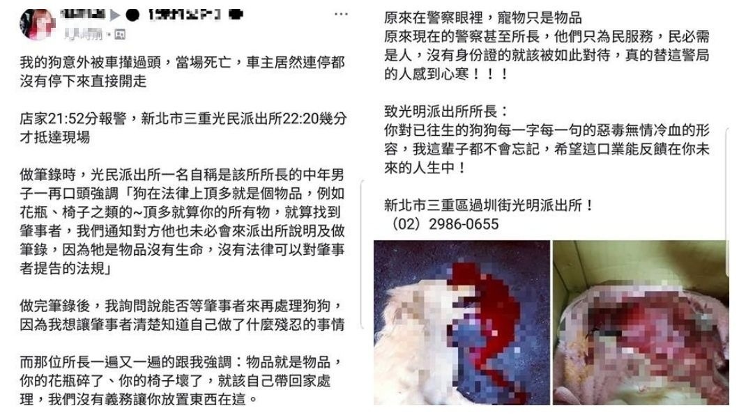 愛犬被撞死發文咒警 女飼主被起底冒充獸醫師還盜圖