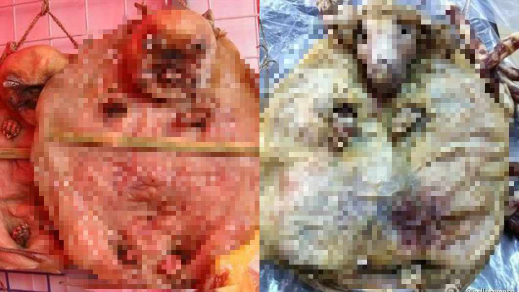 慎入！連頭帶肉整隻風乾　大陸著名「臘乳狗」超殘忍