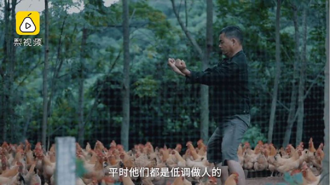 圖/翻攝自梨視頻