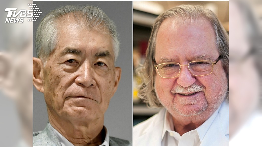 諾獎得主找出免疫系統煞車 獲讚對抗癌症未來