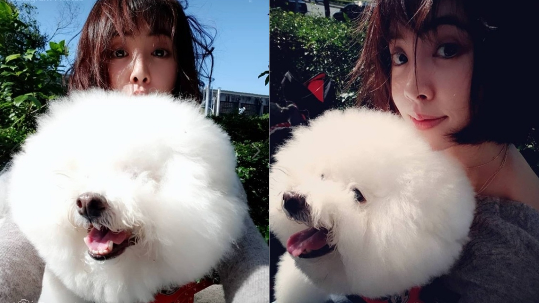 愛犬屋虎「素顏」曝光　蔡依林驚喊：母湯！