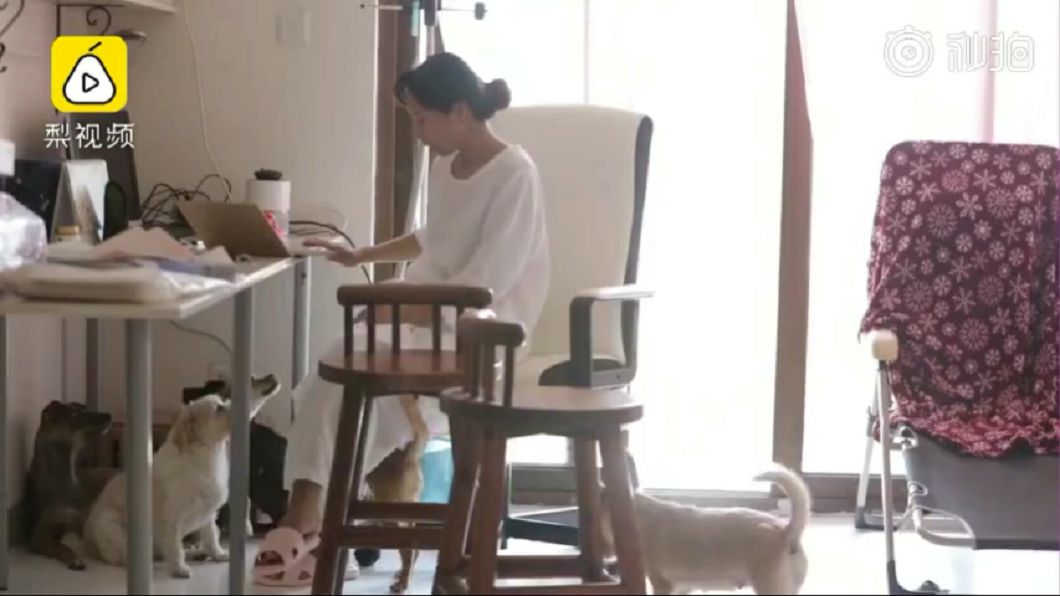 圖/翻攝梨視頻