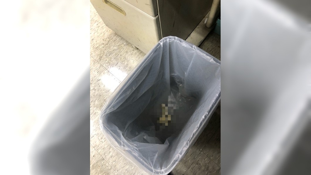 辦公室垃圾桶驚見「用過套套」 她嚇傻尖叫網友卻笑翻