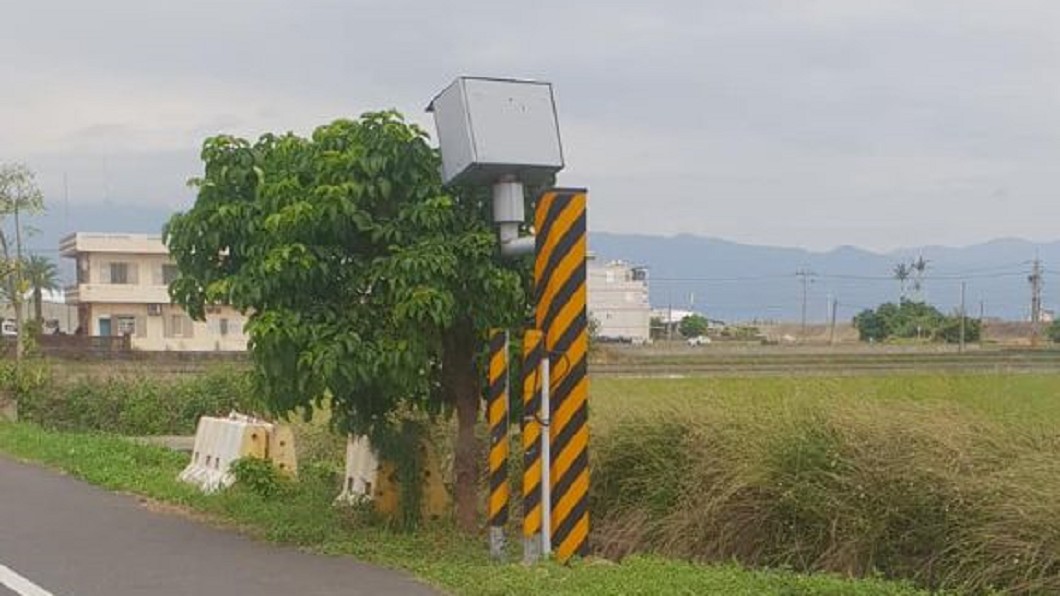 佛系測速器！只「賞樹」不抓人　網笑：20年前就佈局