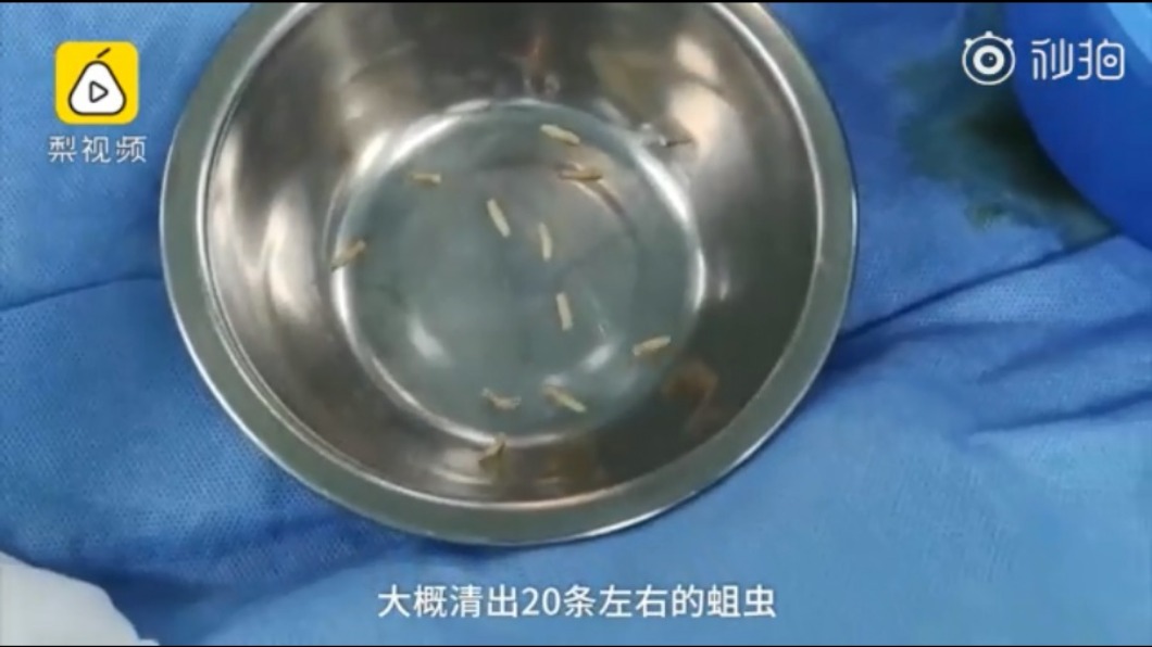 圖/翻攝自秒拍