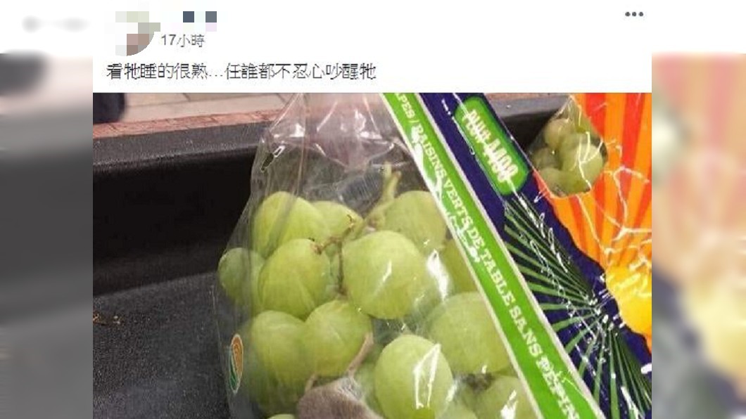 圖/翻攝自爆廢公社