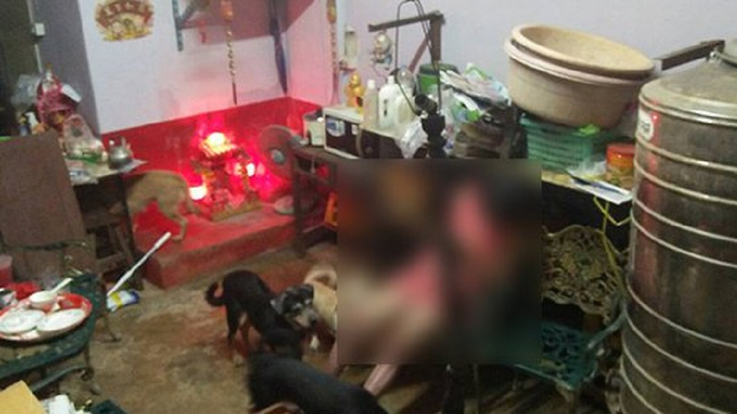 女主人疑觸電亡 10忠犬守護圍繞讓人鼻酸