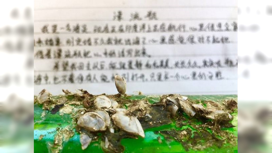 圖/翻攝自Whitehaven Xpress