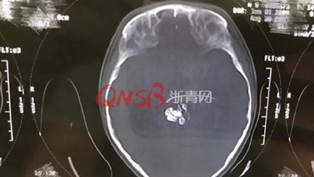 圖/翻攝自浙青網