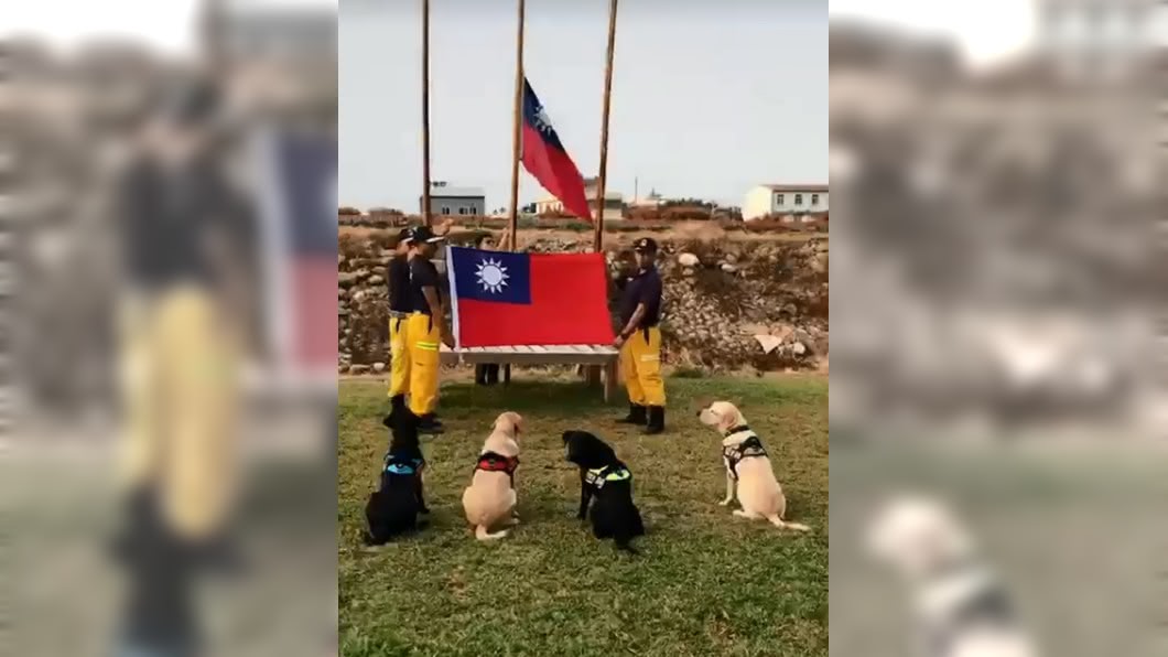 國慶最萌焦點94牠們 搜救犬戴上國旗領結玩親親